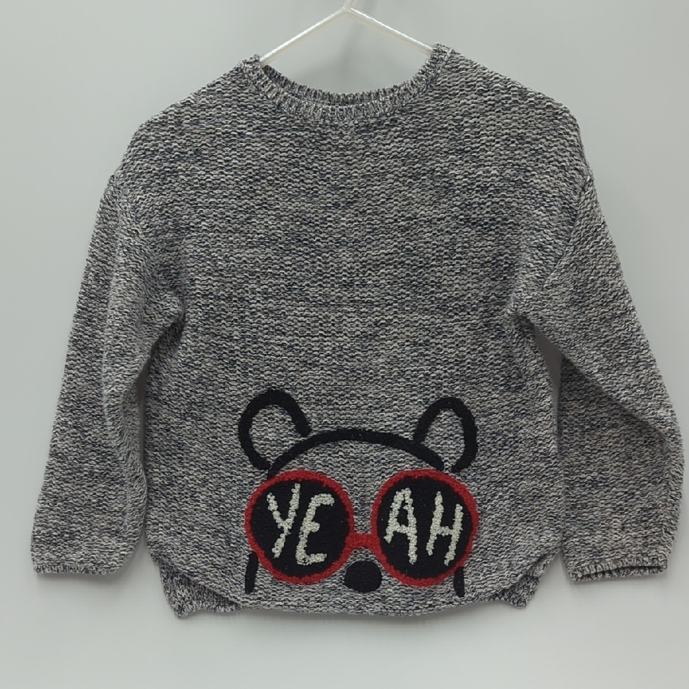 Zara Baby Boy Knit Sweater Chunky Button Close Bear and Red Glasses 2t 3t